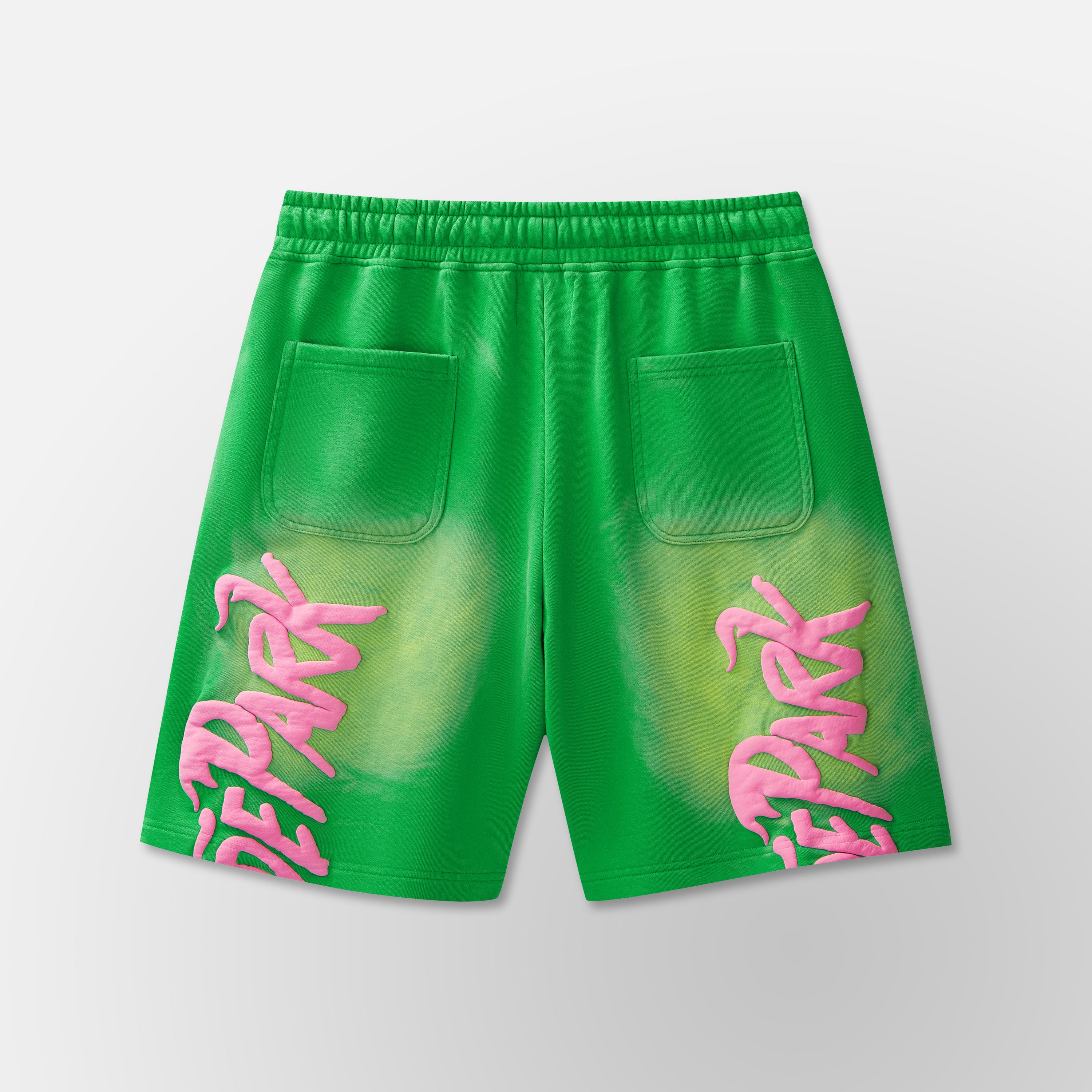 This Shit Ain't for Everybody Short - Green / Pink